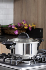 Kitchen Appliances - Steel Pot With Glass Lid; In The Kitchen