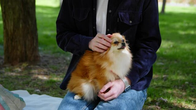 Close-up of a young man relaxing with his dog on a picnic in the park. Picnic in nature