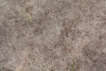 ice crystals on the puddle
