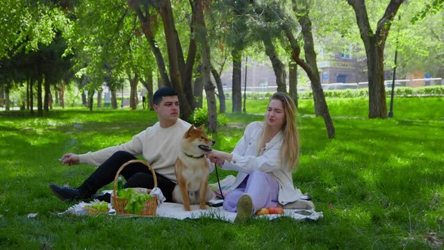 A young man smokes a cigarette on a picnic with his girlfriend, the girl waves her hand from the smoke. A young couple is sitting in the park on a picnic and stroking their dog on the head. Picnic in