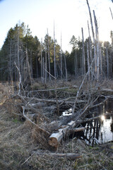La Plaine 6 Mai 2022