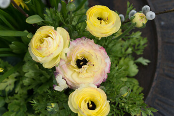 ranunculus flowers in a springtime arrangement