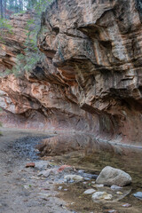 Colorful geological formations in Coconino National Forest's West Fork Trail in Arizona