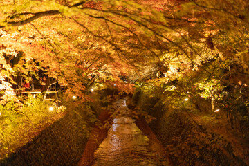 北野天満宮の紅葉