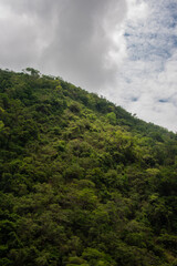 Fototapeta na wymiar mountain in colombia