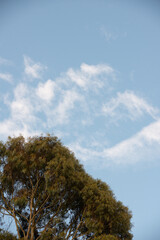 Fototapeta premium sky and clouds
