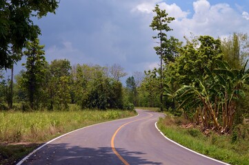 Fototapeta premium road in the countryside