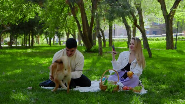 A young couple is sitting in the park on a picnic with a dog. A girl takes pictures of her boyfriend playing with a dog. Picnic in nature