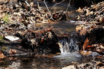 Melting snow water in the mountains in spring