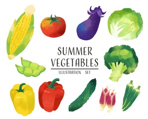 水彩風の夏野菜のベクターイラスト素材／料理／トマト／トウモロコシ