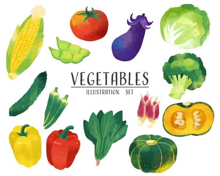 水彩風の野菜のベクターイラスト素材／料理／トマト／トウモロコシ