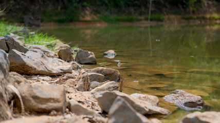 Beautiful and bright nature background images.
