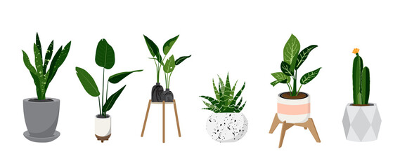 Fototapeta na wymiar Potted plants vector collection on white background. Set of interior house plants with flower pot, cactus, vase, leaves and foliage. Different home indoor green decor illustration for decoration, art.