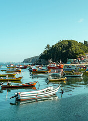 Colorful vertical shot of ships and boats at sunset in Caleta Tumbes, Chile