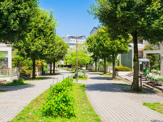 閑静な住宅街　多摩ニュータウン