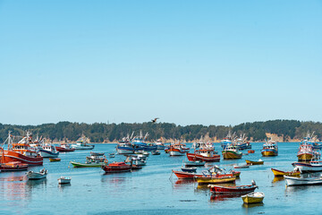 Colorful shot of ships and boats in Caleta Tumbes, Chile