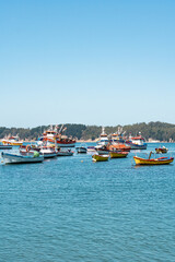 Vertical shot of colorful boats in Caleta Tumbes with mountains in the background, Chile