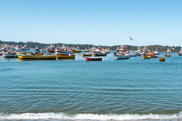 Horizontal shot of colorful boats in Caleta Tumbes with wide sea and waves, Chile