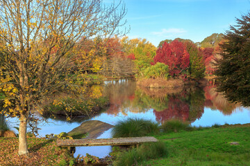 Autumn tree reflected in the lake of a large garden