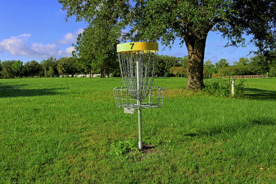 frisbee golf sport game in the park