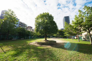 大阪の公園