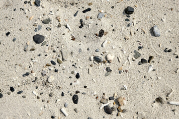 【素材】白い砂浜（奄美大島）