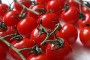 cherry tomatoes on a green branch, red berries, tomatoes on a white background