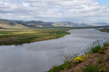 Steep river bank with flowers and greenery. From the shore you can see the river and the mountains on the opposite bank.