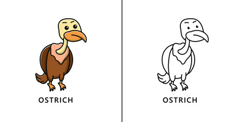 Ostrich Animal Icon Cartoon. Safari and Zoo mascot Symbol Vector Kids Coloring Book
