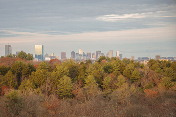 Fototapeta premium a view of the boston city skyline