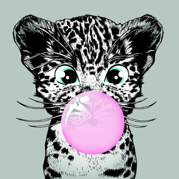 Little leopard with bubble gum. Vector illustration.