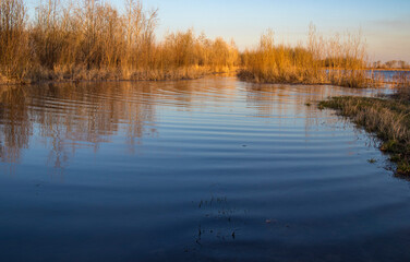 spilling water in the steppe at sunset 2