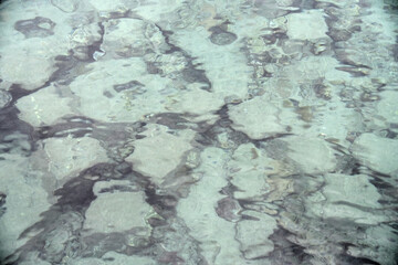 【奄美大島】コーラルブルーの海