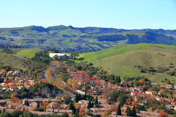 The plantations in this California city make up for the lack of native autumn foliage