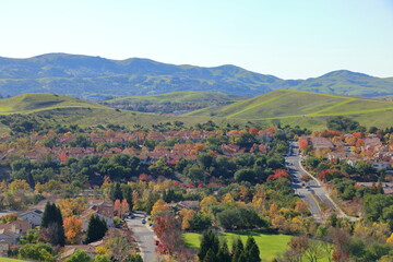 Fototapeta na wymiar The city plantations of San Ramon make up for the lack of native autumn foliage in California