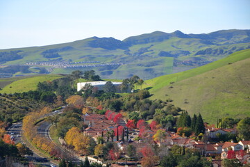 Fototapeta na wymiar Fall foliage at peak in San Ramon Valley near San Francisco, California