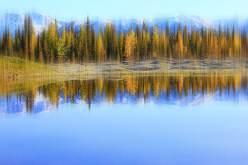 Fototapeta na wymiar blurred background autumn nature landscape, abstract blur bokeh view of fall trees