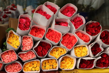 red and yellow flowers