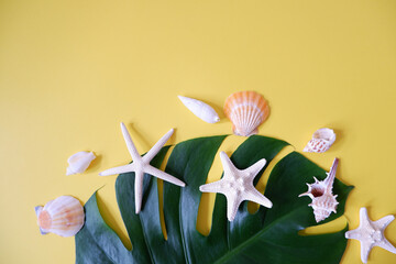 Shells and Tropical leaves on yellow background. Summer Marine concept top view. Colorful Shells and starfish composition on yellow background. 