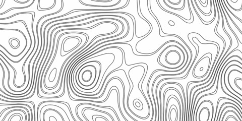 Abstract design with black and white abstract background. The concept of a conditional geography scheme and the terrain path. Wide size. Map on land vector terrain Illustration .