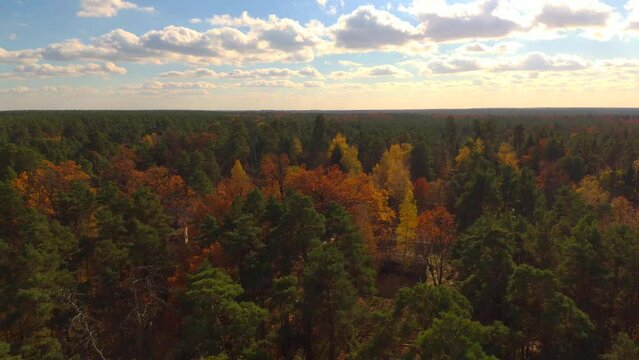 Drone shot over a beautiful forest in autumn in Zhytomyr, Ukraine under cloudy sky
