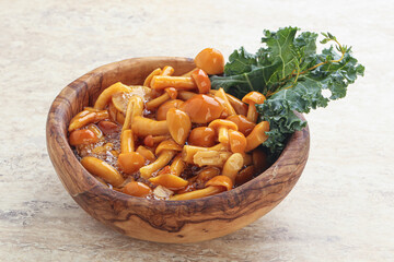 Wild pickled honey mushroom in the bowl