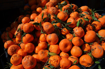 Closeup of ripe tangerines in plastic boxes