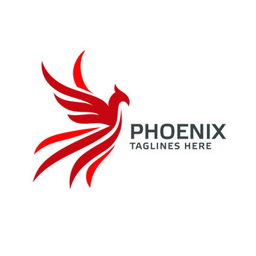 Close-up shot of the phoenix bird logo exclusive design inspiration