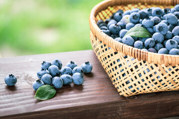 Freshly picked blueberries in a wicker basket. Juicy and fresh blueberries with green leaves on rustic wooden handrails of terrace in the summer garden. The concept for healthy eating and nutrition.