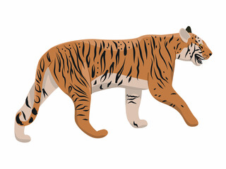 The tiger is moving forward. Realistic vector animal