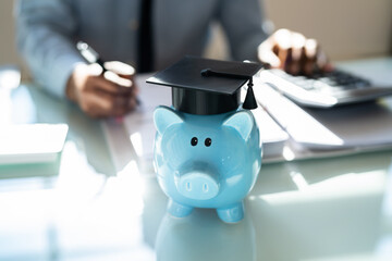 Student Loan. Accounting Teaching Advisor
