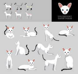 Cat Colorpoint Shorthair Cartoon Vector Illustration Color Variation Set