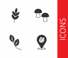 Set Location with leaf, Leaf, and Mushroom icon. Vector