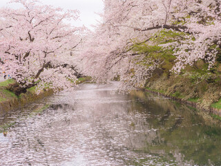 river in spring